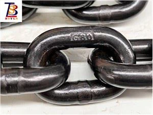 6 mm tot 24 mm G80 hijsketting van gelegeerd staal