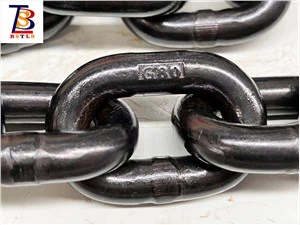 Hoge test met lastketting met bewijsrol G80 hijsketting